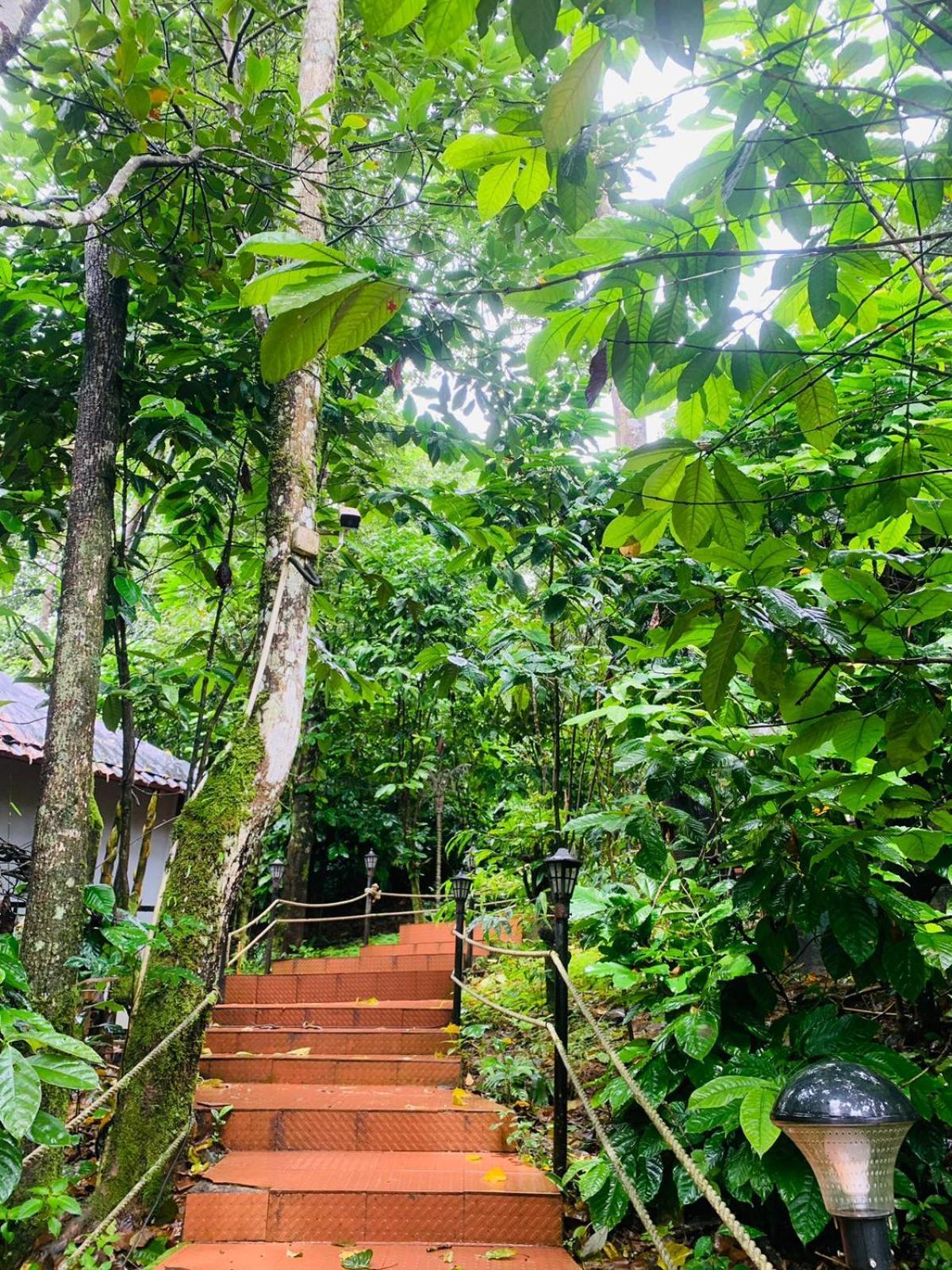 The Mountain Shades Resort Madikeri Eksteriør billede