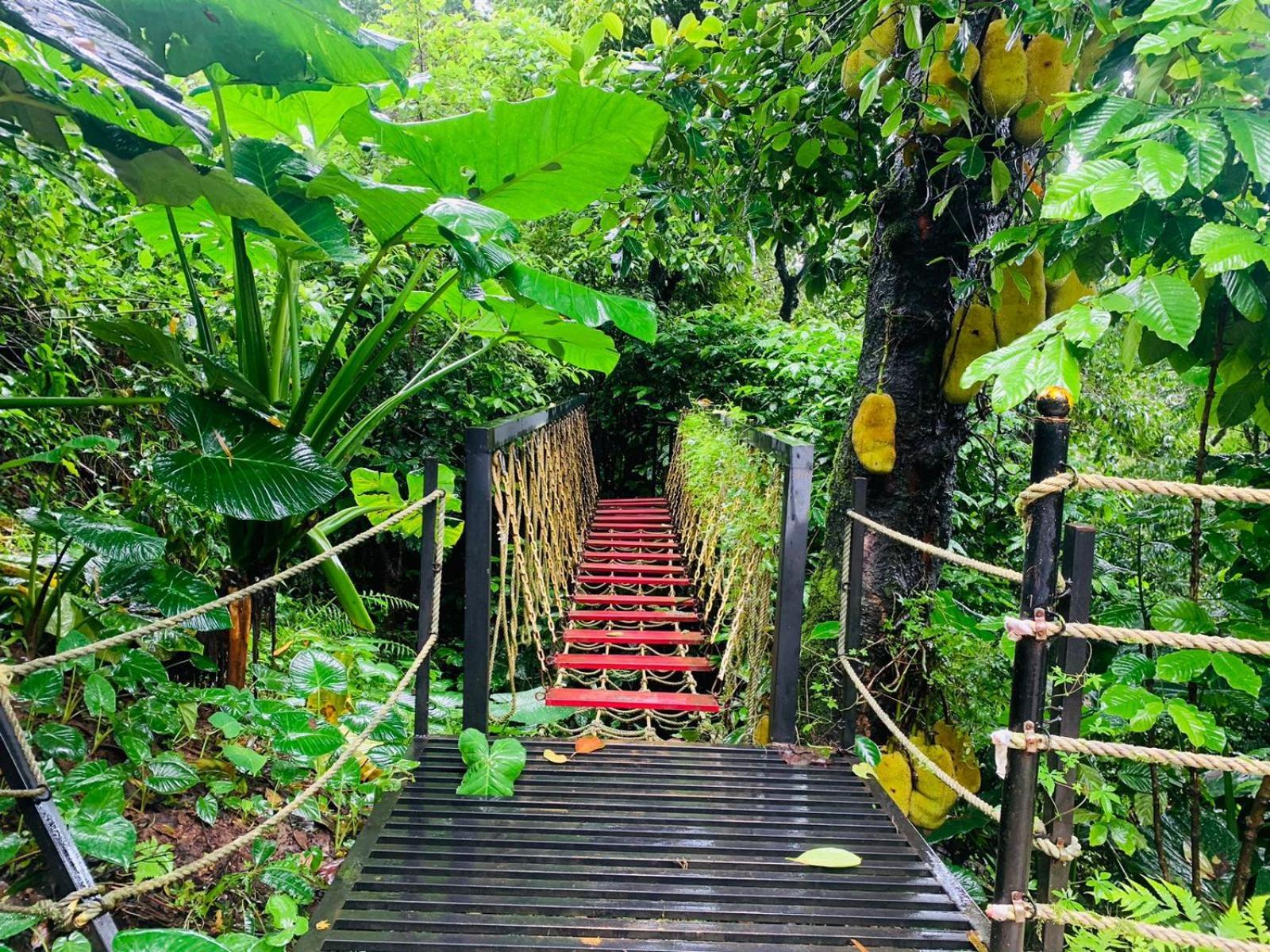 The Mountain Shades Resort Madikeri Eksteriør billede