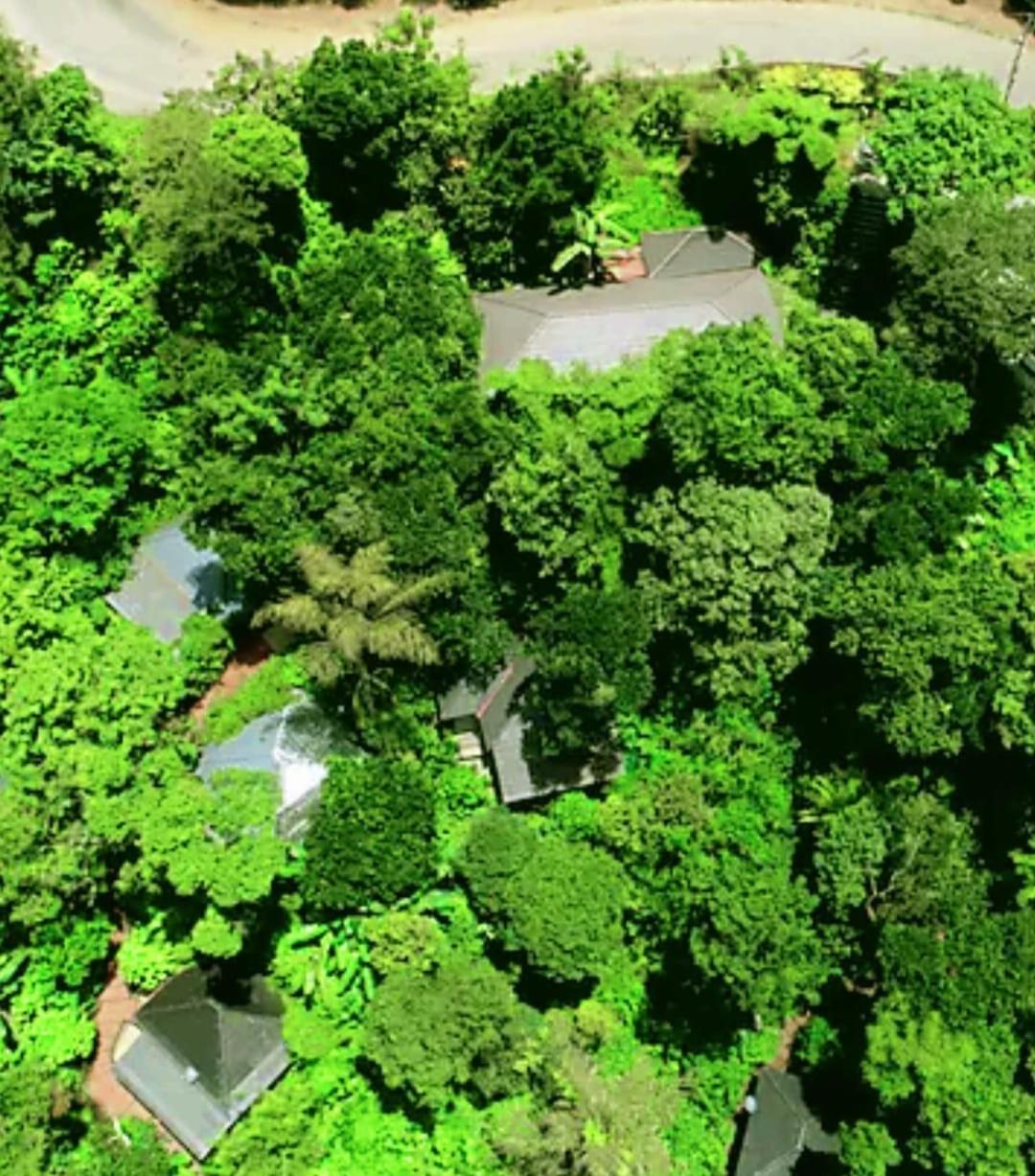 The Mountain Shades Resort Madikeri Eksteriør billede