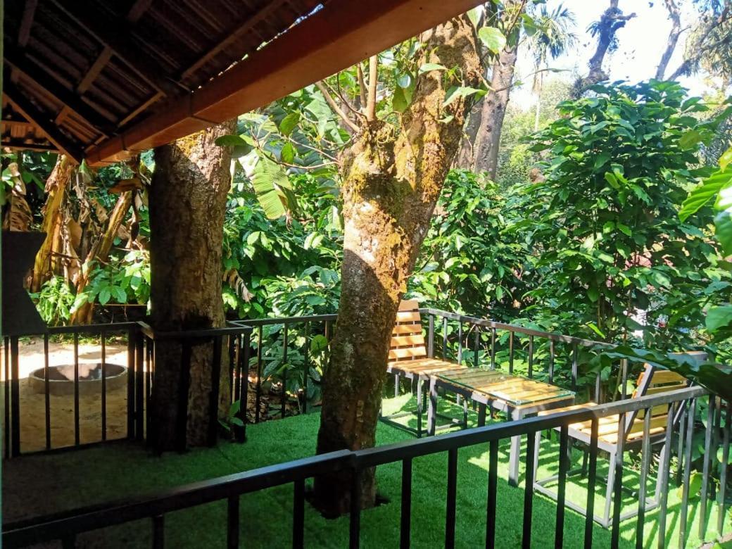 The Mountain Shades Resort Madikeri Eksteriør billede